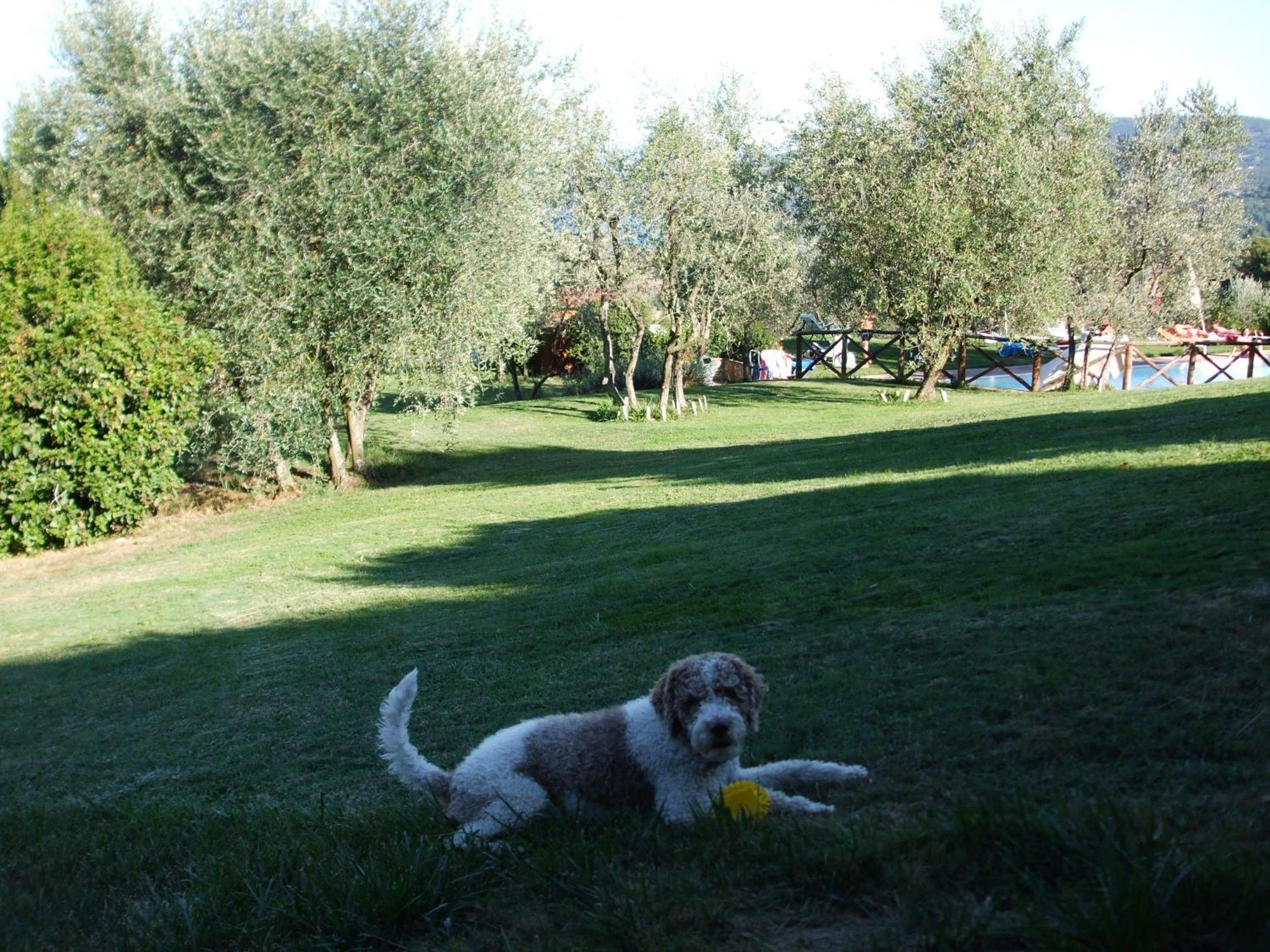 Poggio Agli Ulivi Villa Barberino di Mugello Bagian luar foto