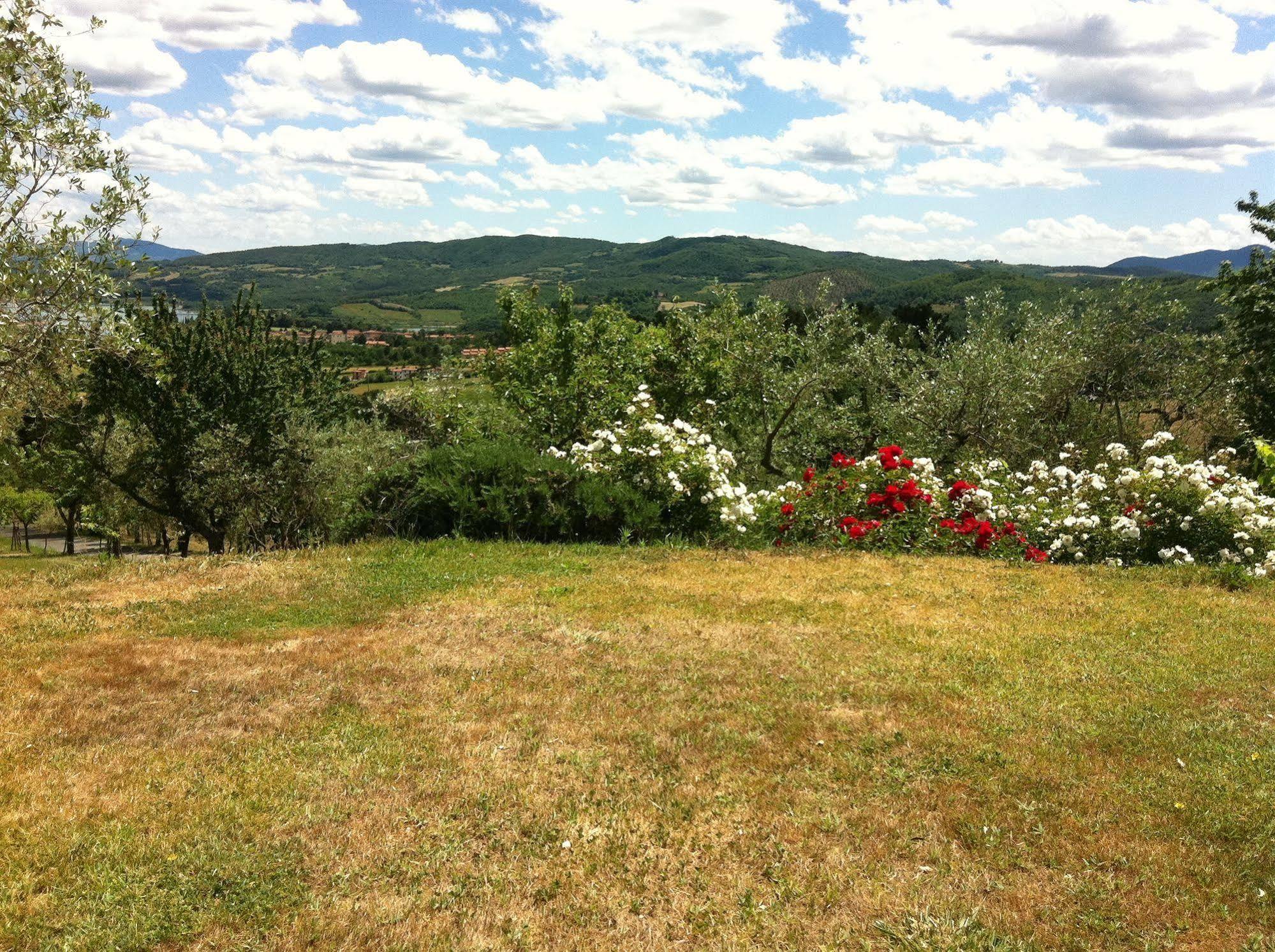 Poggio Agli Ulivi Villa Barberino di Mugello Bagian luar foto